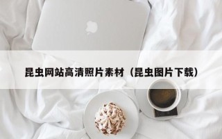 桂林昆虫网站高清照片素材（昆虫图片下载）